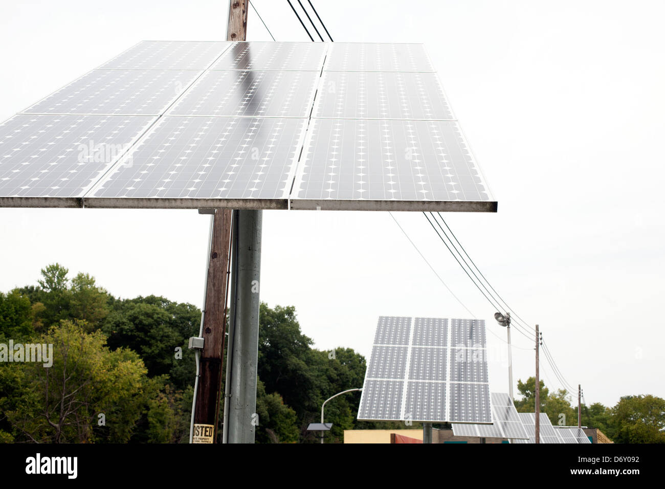 Solar panels are used to generate electricity for a business company in