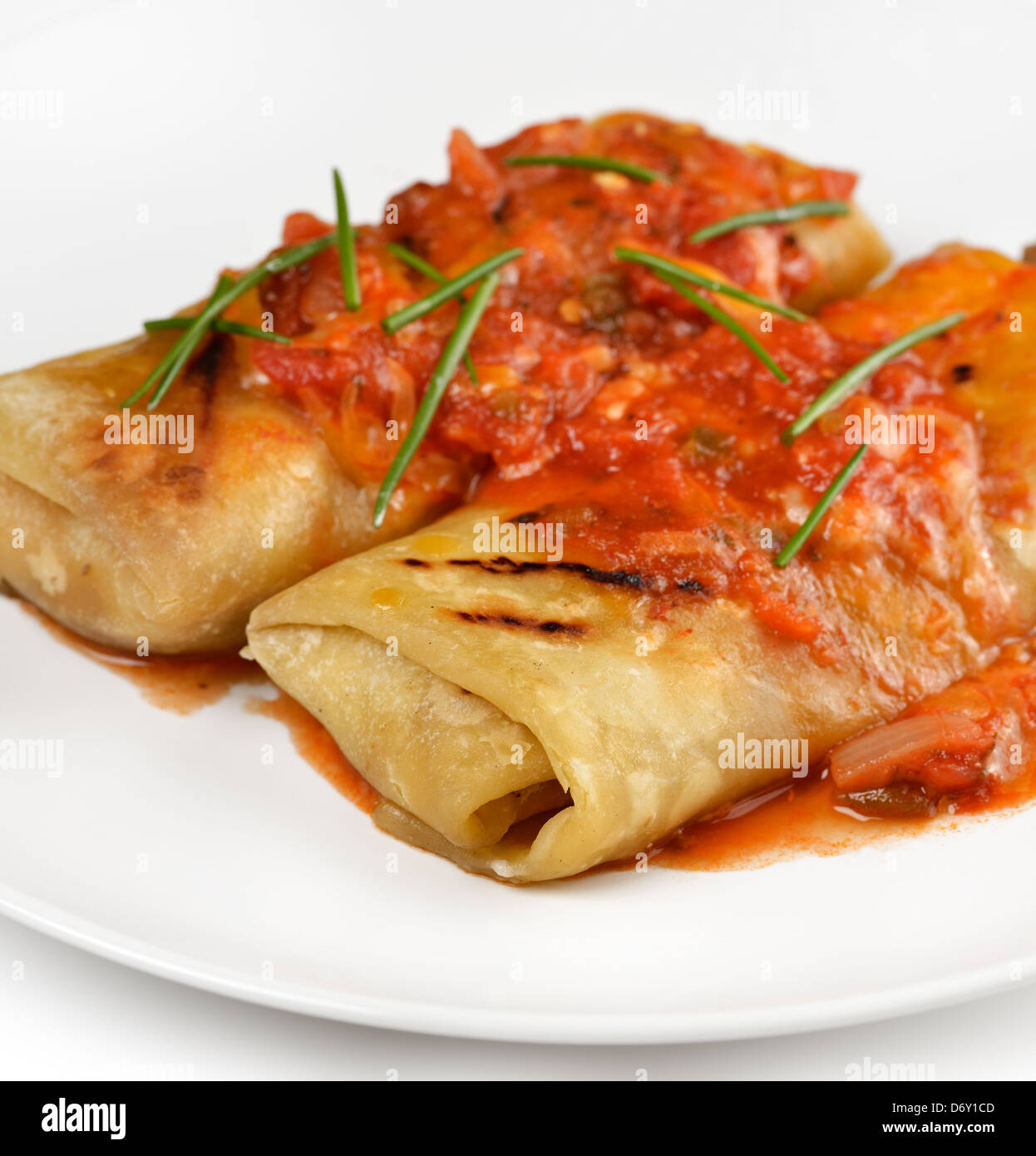 Mexican Burritos With Salsa In A White Plate Stock Photo