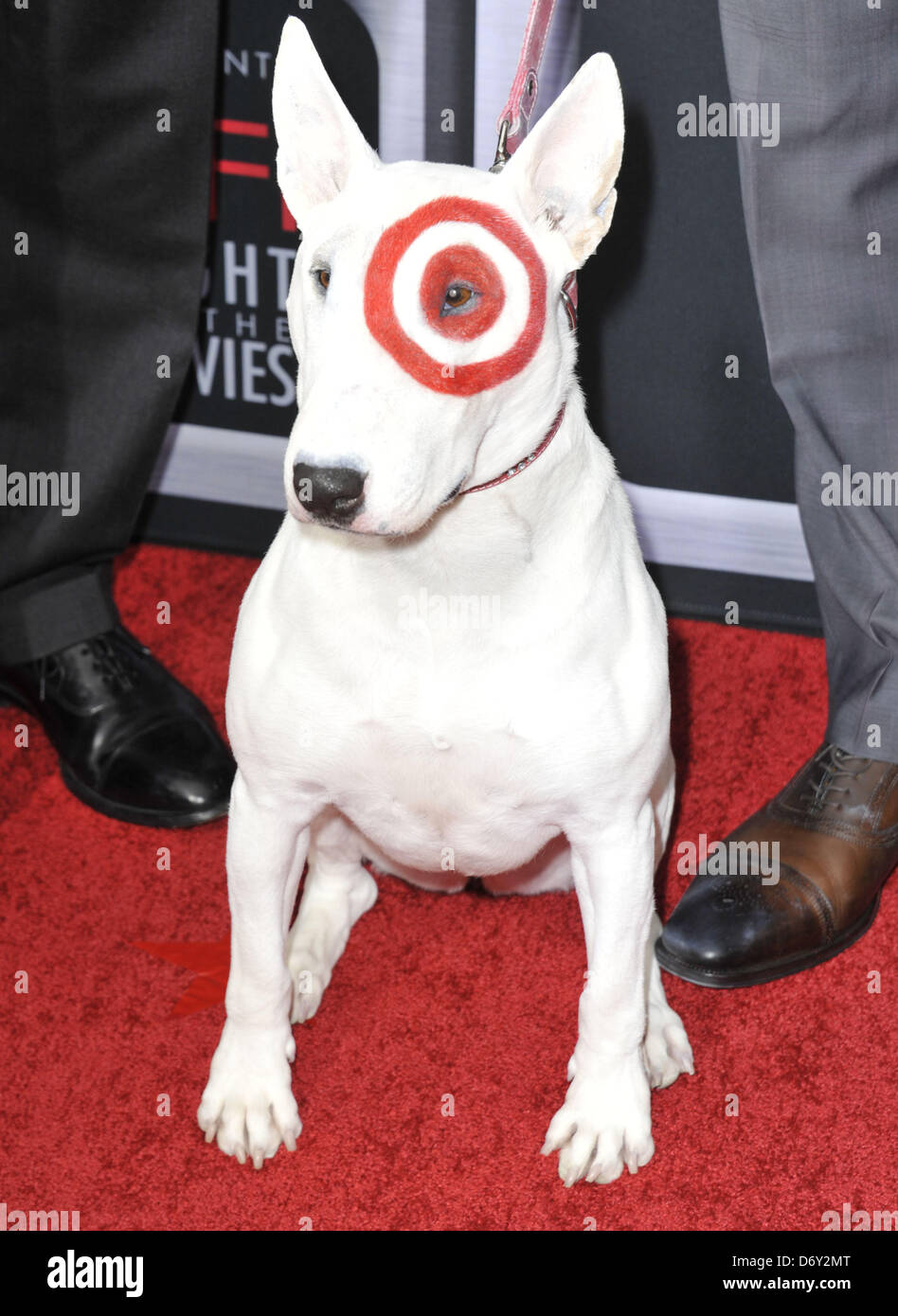 Los Angeles, California, USA. 24th April, 2013. Target The Dog attending the AFI Night at the Movies held at the Arclight Theater in Hollywood, California on April 24, 2013. 2013(Credit Image: Credit:  D. Long/Globe Photos/ZUMAPRESS.com/Alamy Live News) Stock Photo