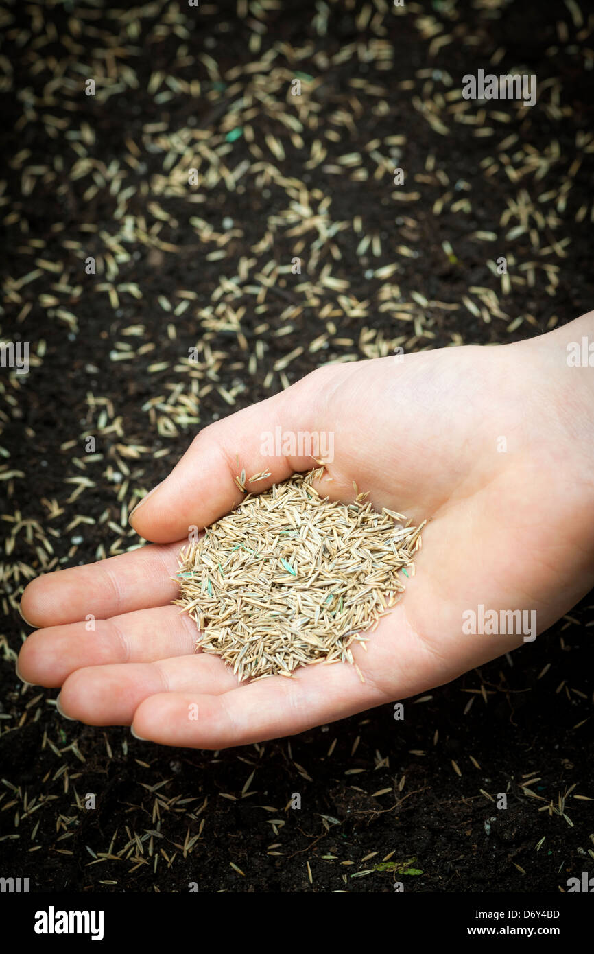 Mixture of soil hires stock photography and images Alamy