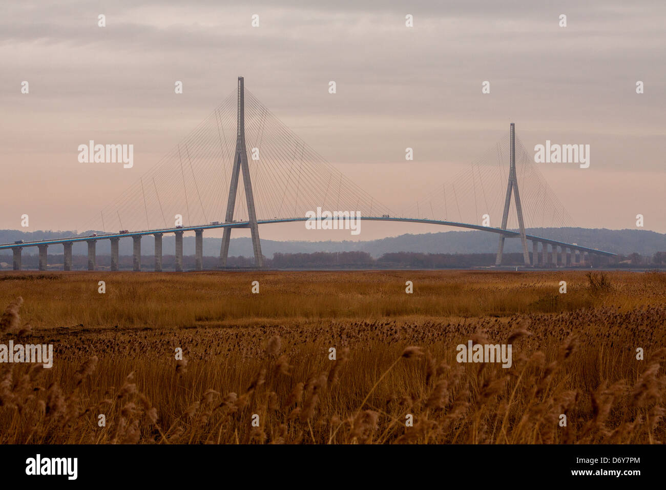 The Bridge of the Normandy (Normandie), connecting Le Havre to Honfleur Stock Photo