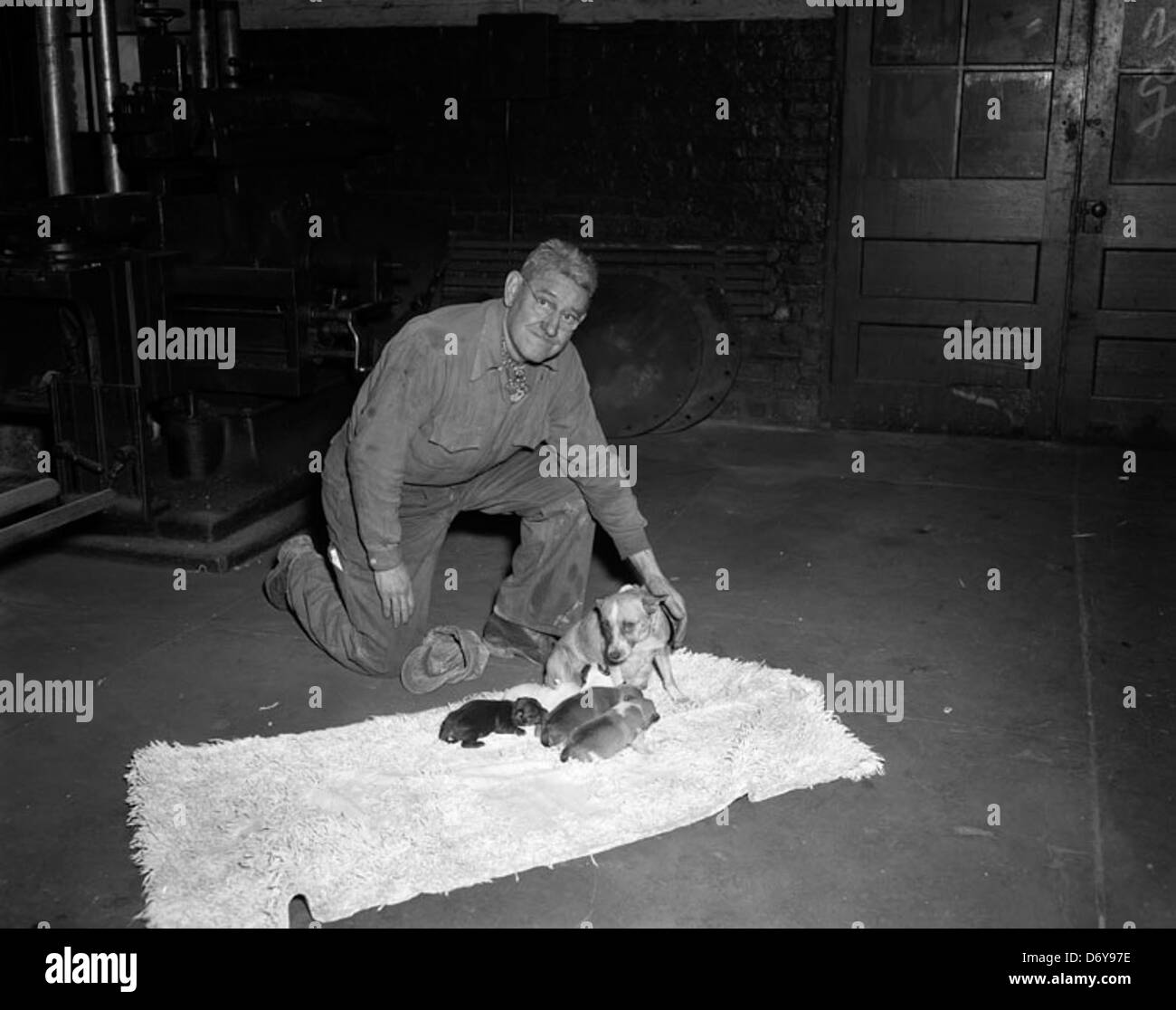 City, utilities, gas works Stock Photo Alamy