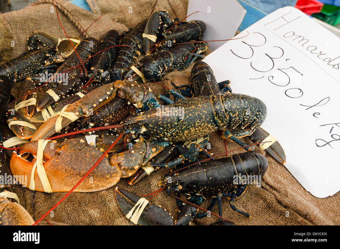 Lobsters on stall market Stock Photo Alamy