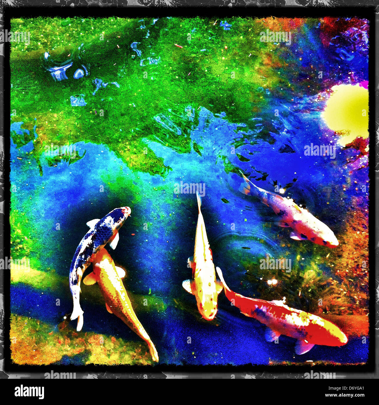 My Image 24