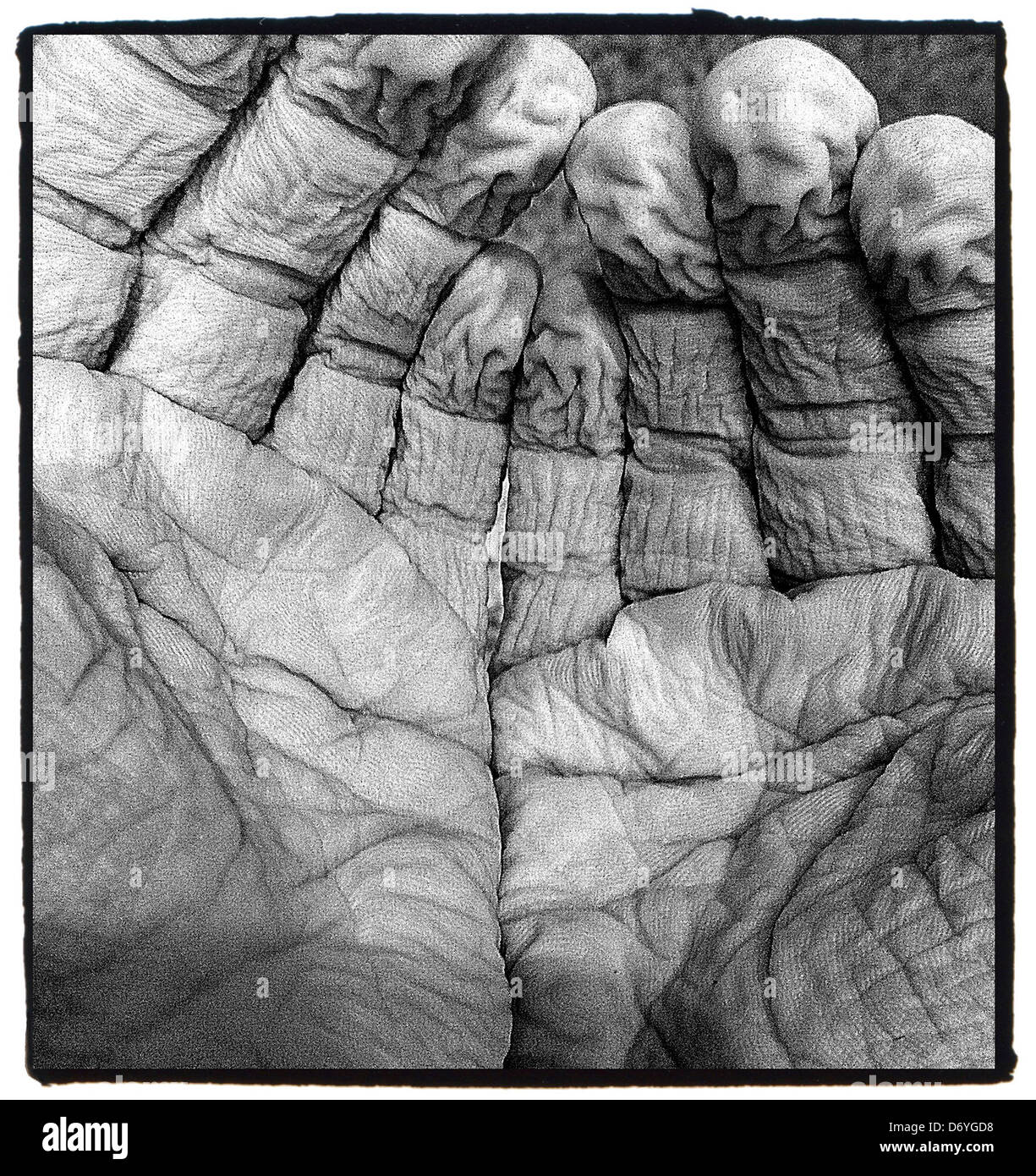Caucasian boy's water logged fingers - Smartphone Captured Stock Image
