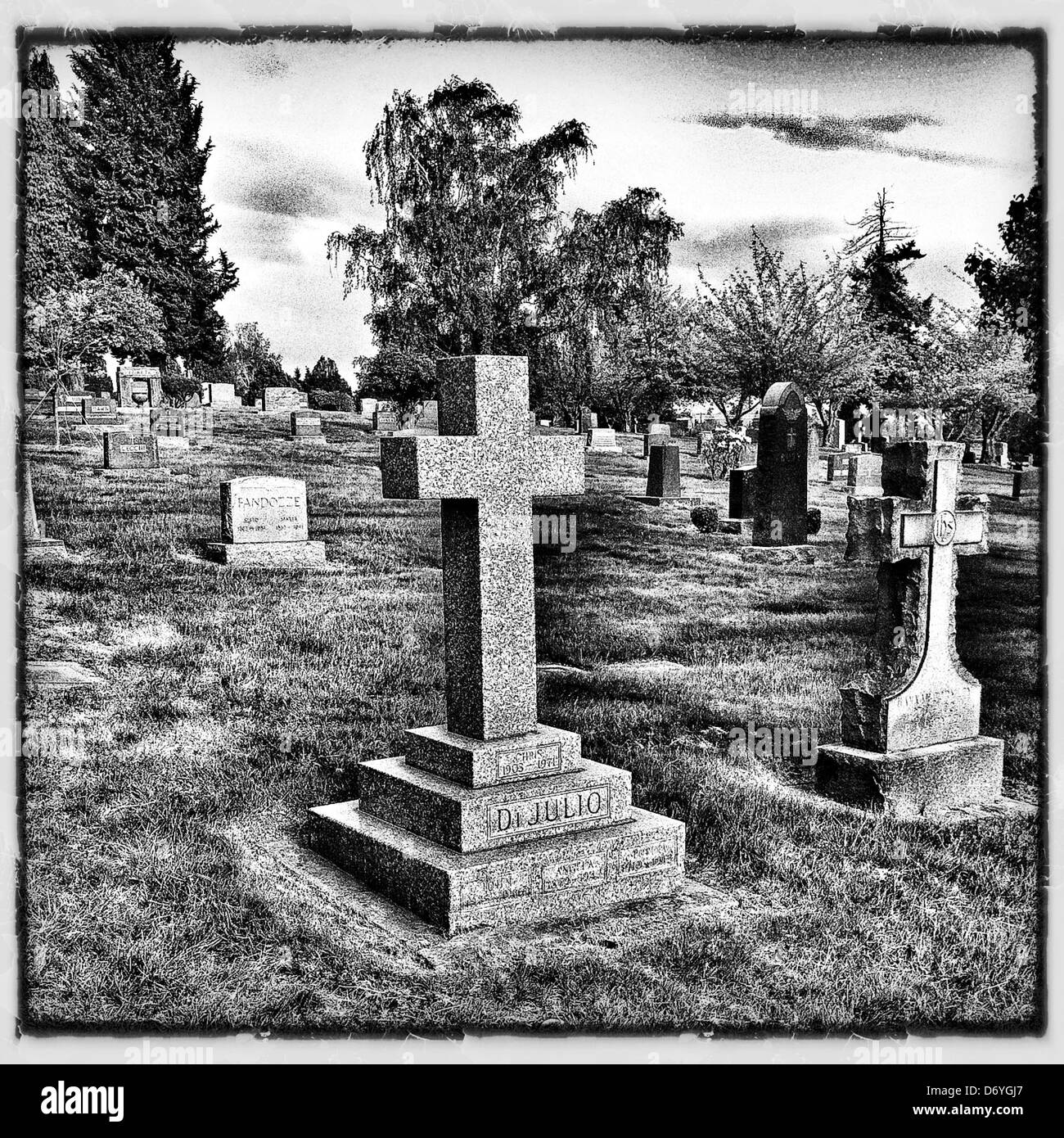 Headstones on cemetery, Seattle, Washington, United States - Smartphone Captured Stock Image