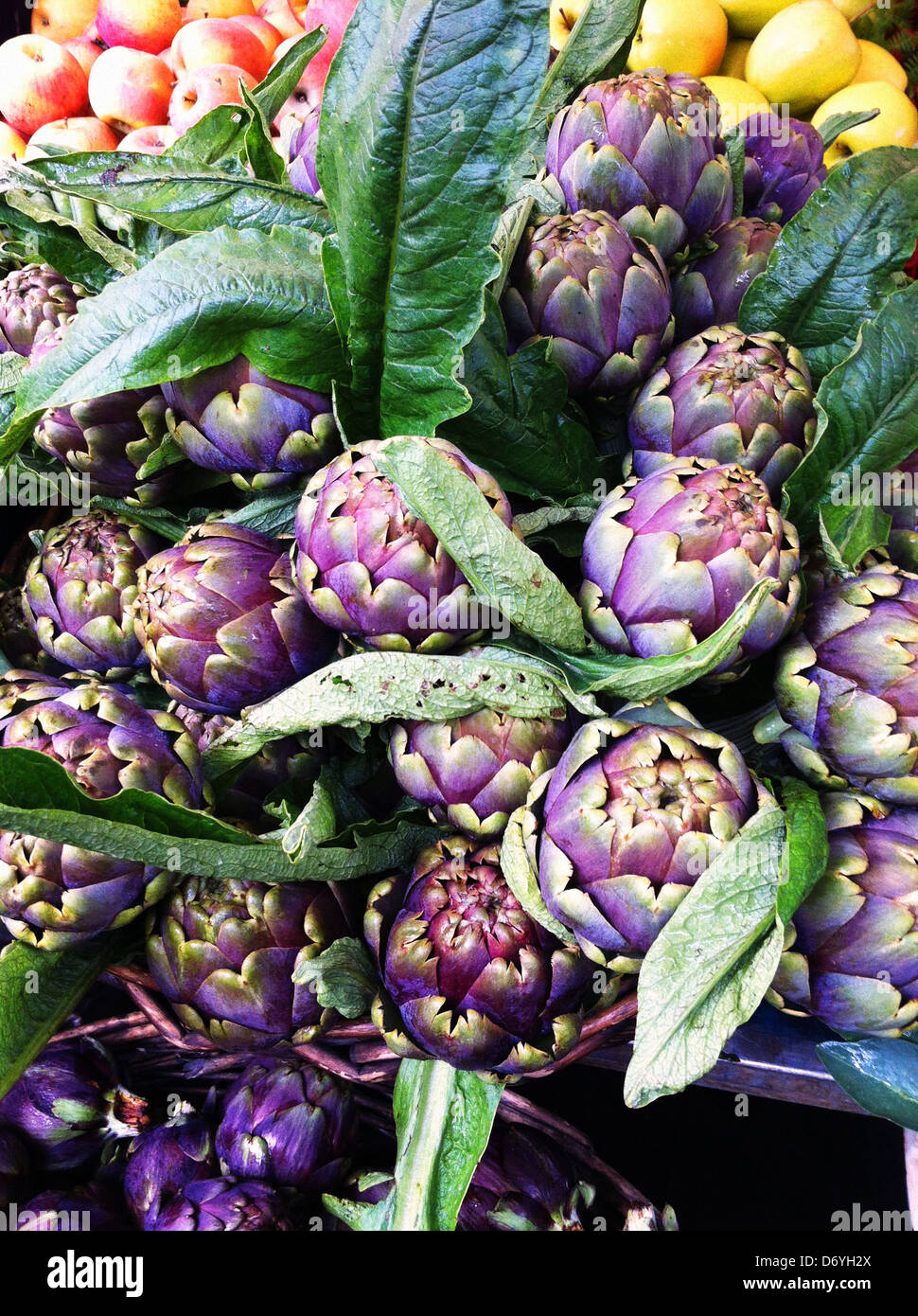 Colorful artichokes at farm stand - Smartphone Captured Stock Image