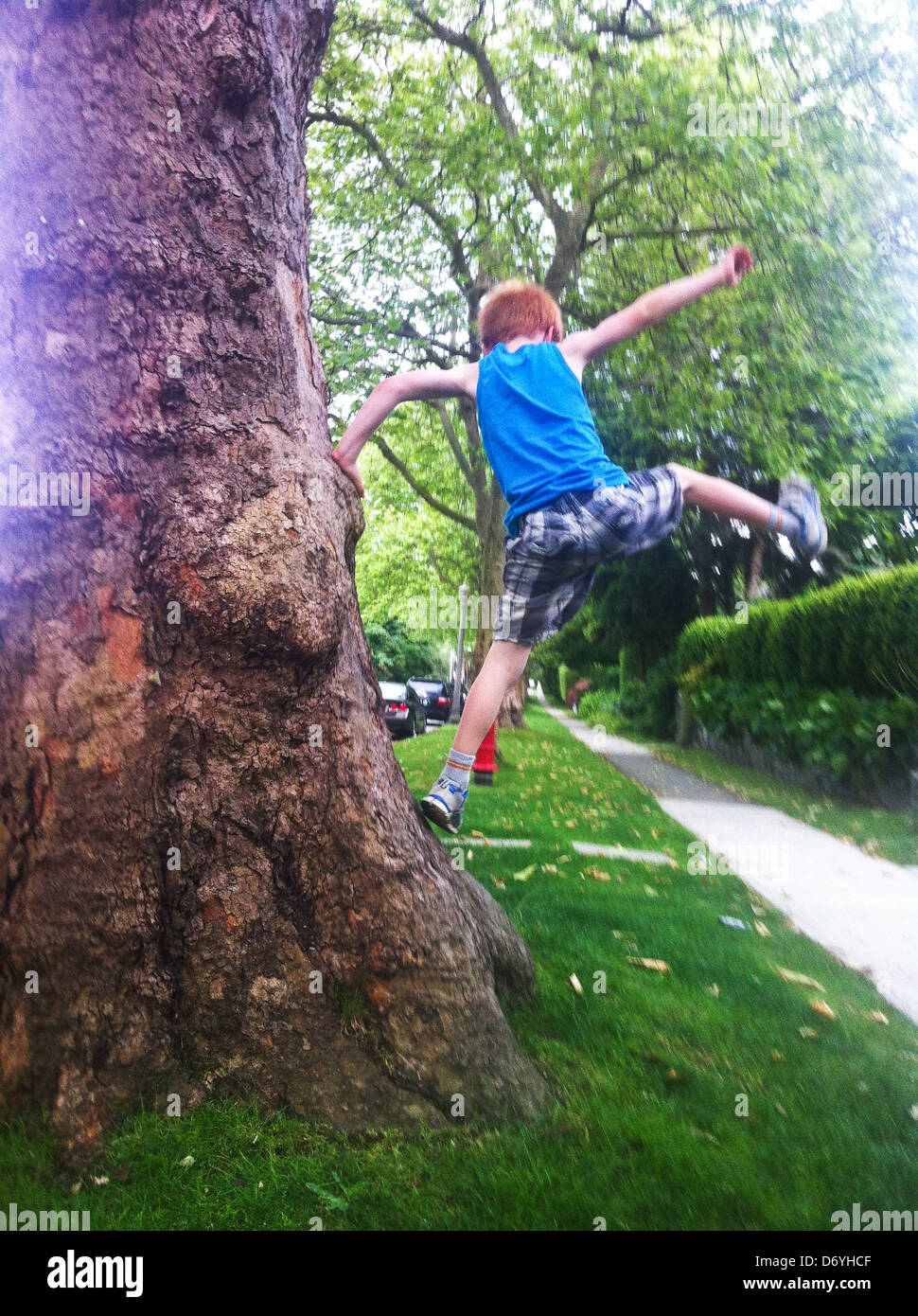 Caucasian boy playing on tree - Smartphone Captured Stock Image