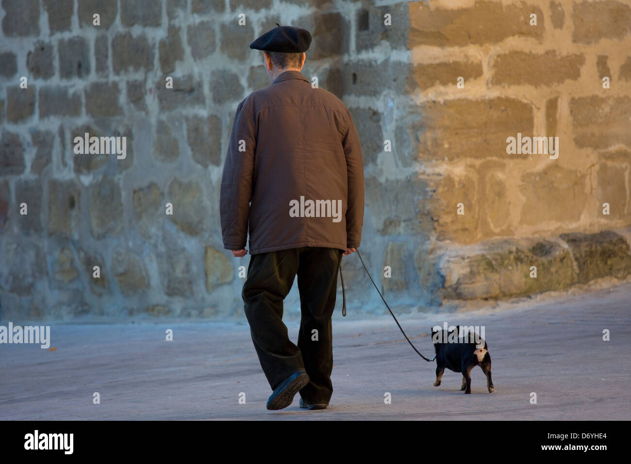 Old man walking his chihuahua dog in the streets of Laguardia, Northern Spain Stock Photo