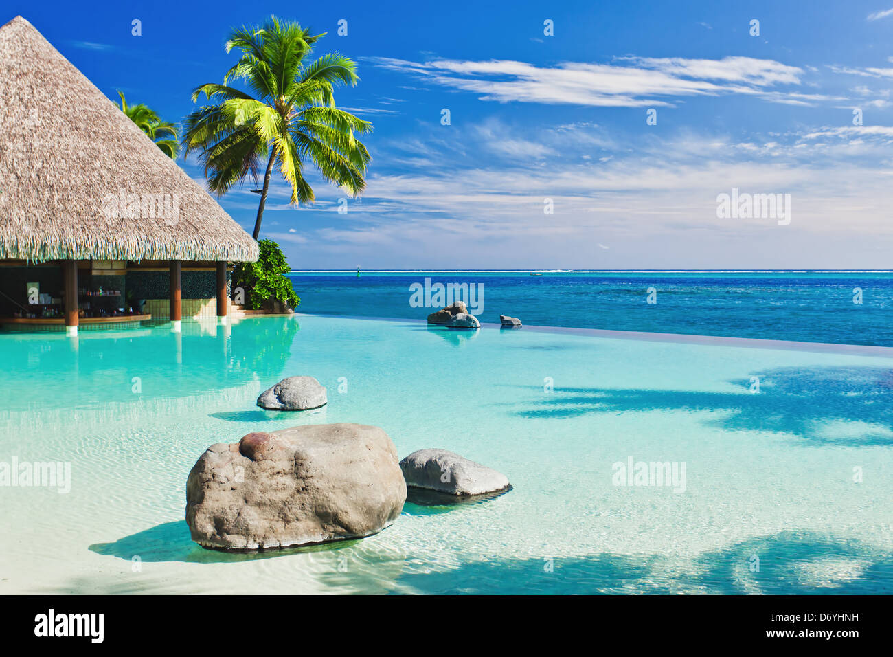 Infinity pool with palm tree overlooking tropical ocean Stock Photo - Alamy