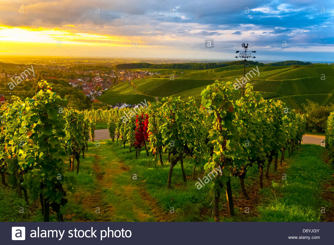 Offenburg Stock Photos & Offenburg Stock Images - Alamy