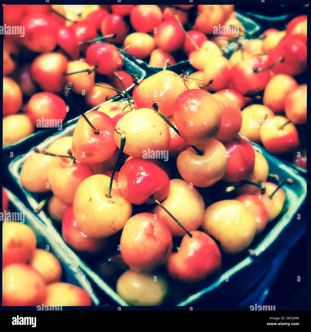 Close up of ripe cherries in cartons - Smartphone Captured Stock Image