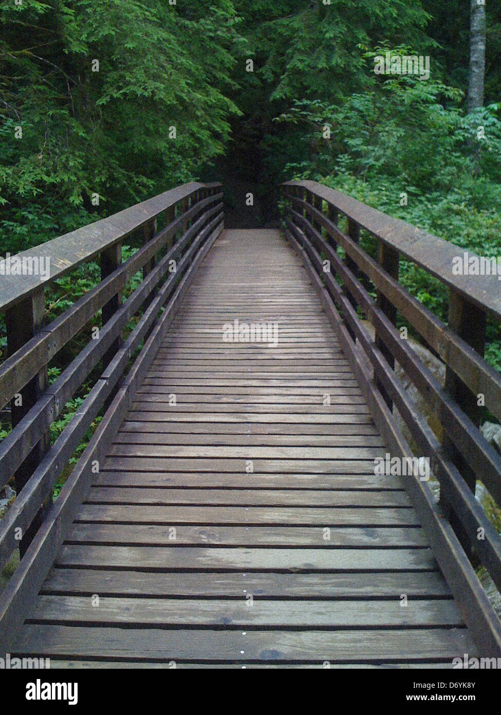 Wooden walkway in forest - Smartphone Captured Stock Image