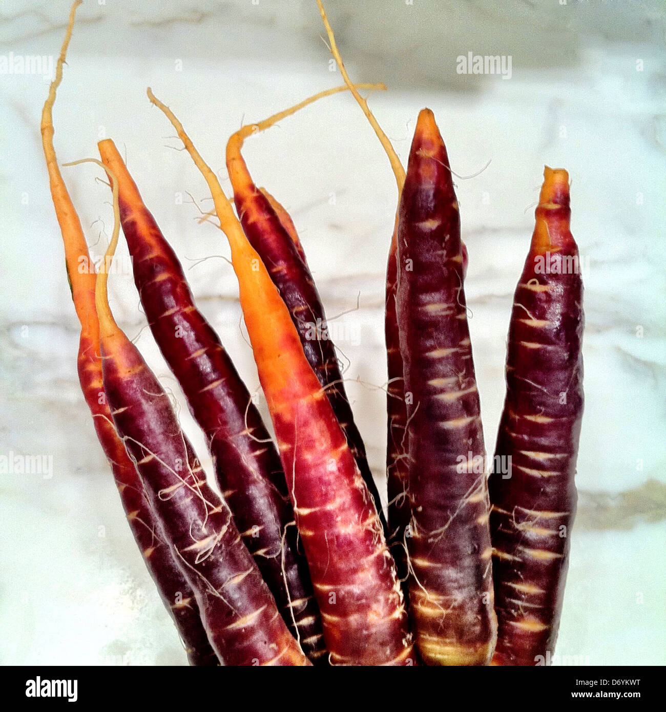 Close up of purple carrots - Smartphone Captured Stock Image