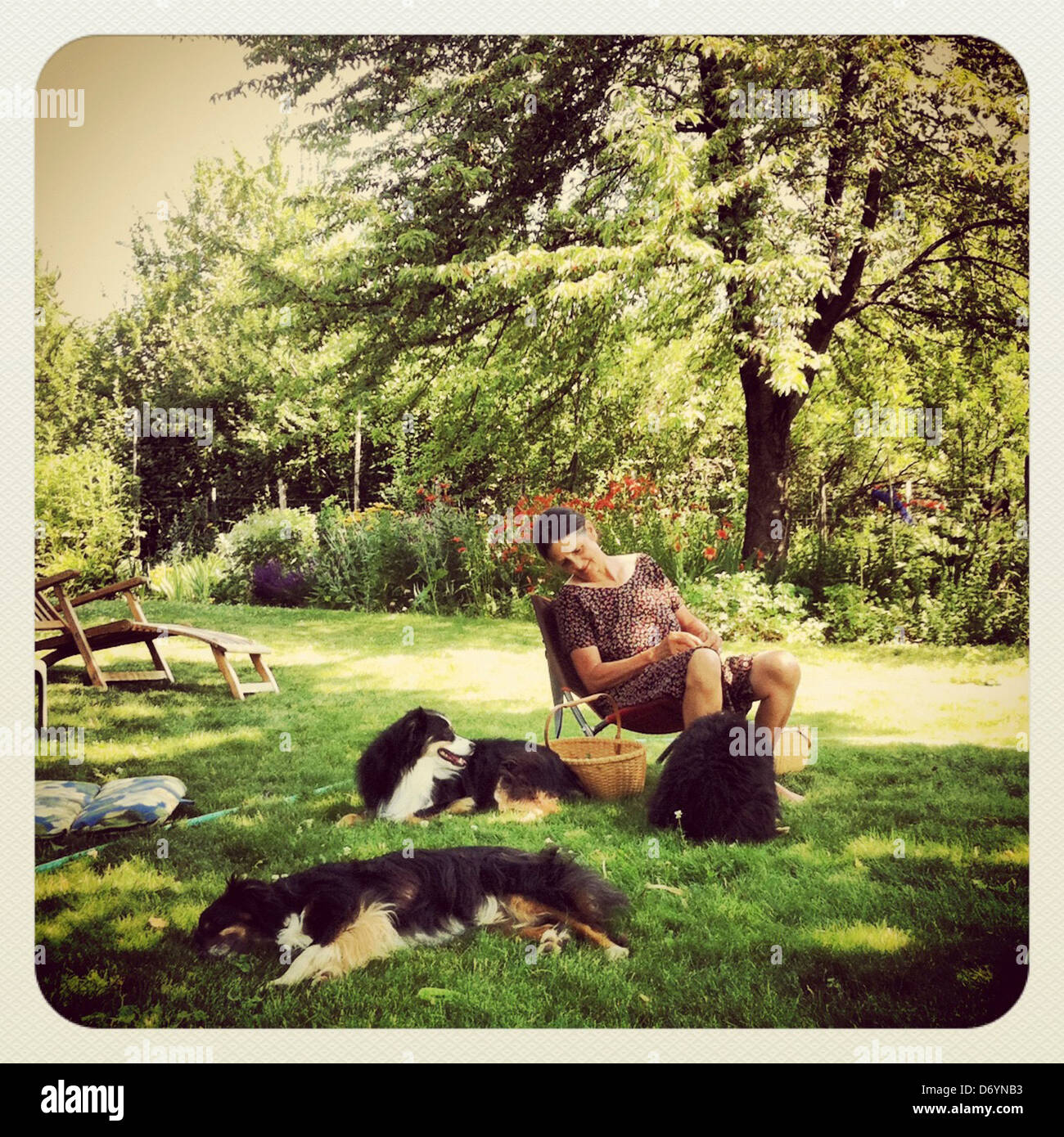 Caucasian woman relaxing with dogs in backyard - Smartphone Captured Stock Image