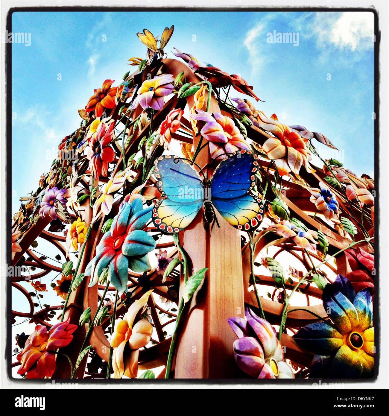 Colorful butterfly and flower decorations - Smartphone Captured Stock Image