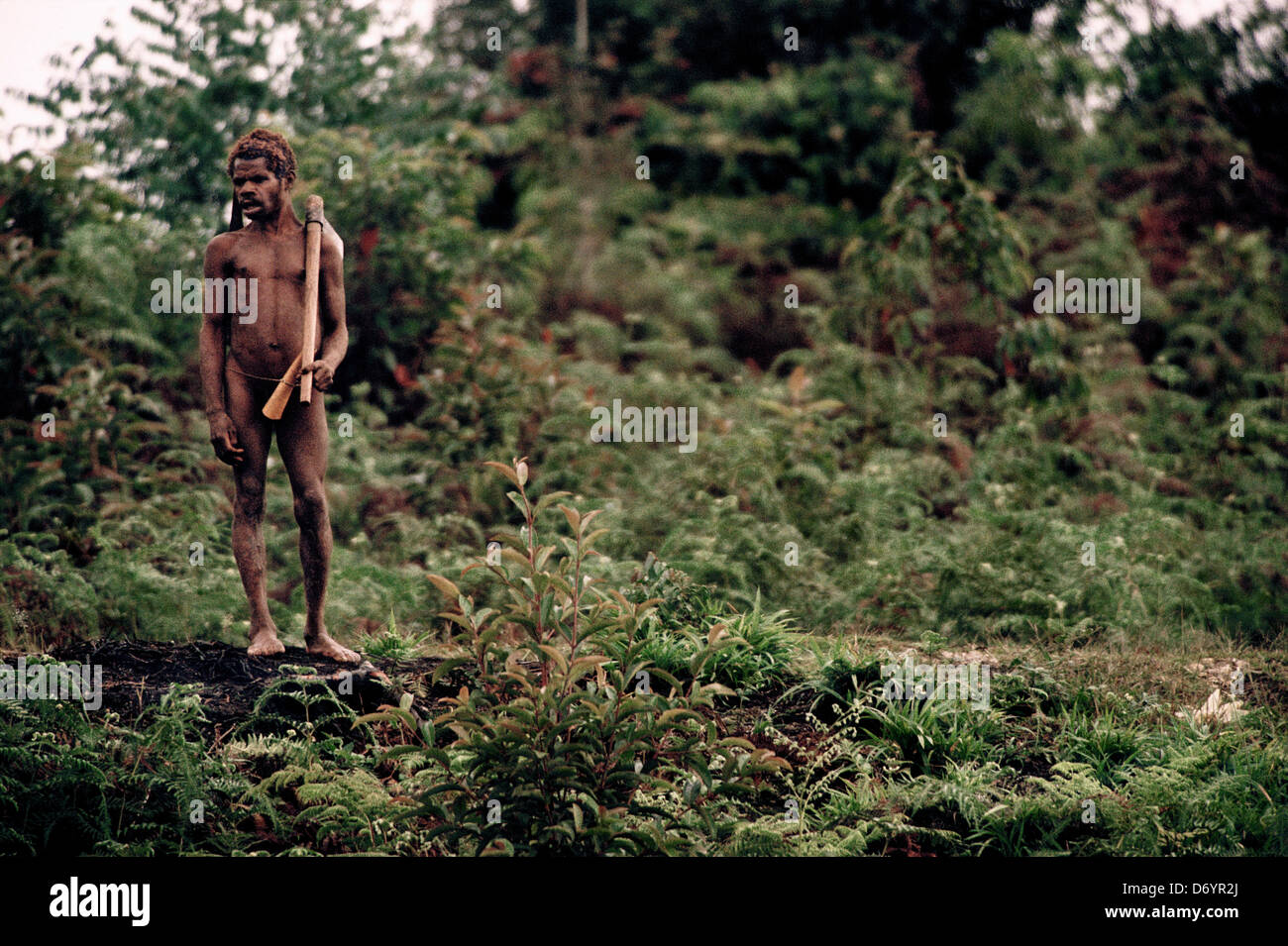 Indigenous man standing in the forest of Irian Jaya, New Guinea, Indonesia Stock Photo