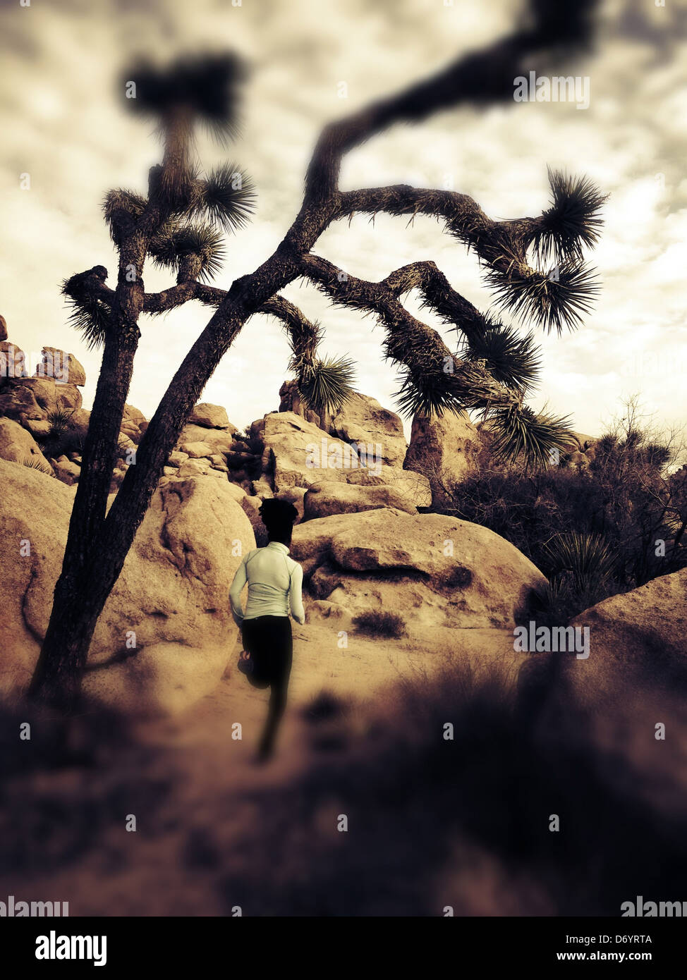 Woman running in Joshua Tree National Park, California, United States - Smartphone Captured Stock Image