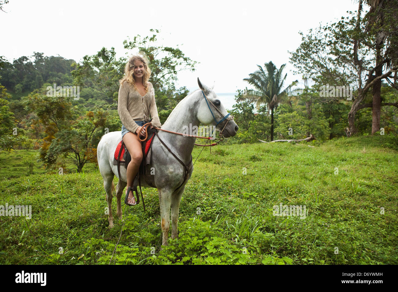Woman riding a horse in the rainforest hires stock photography and