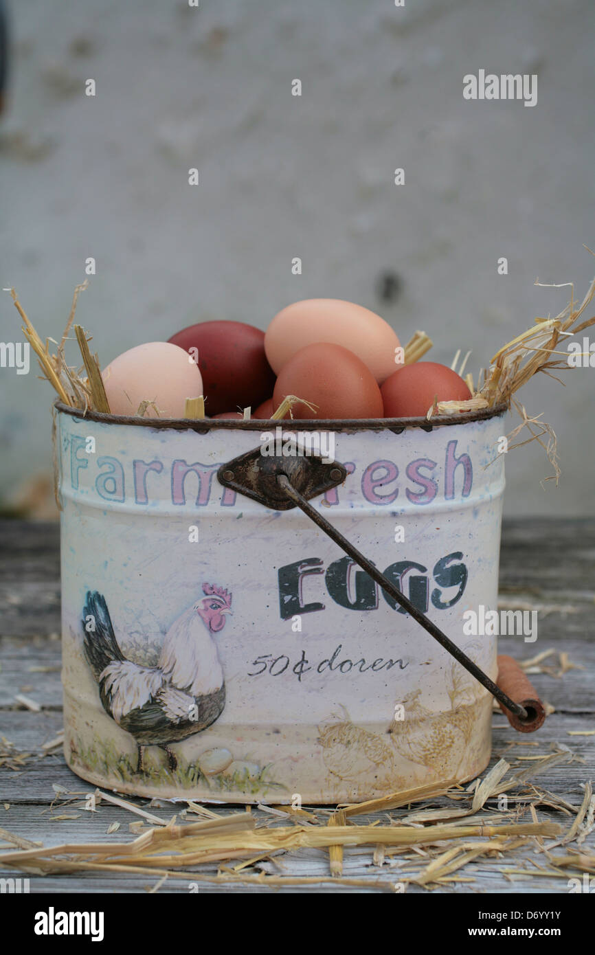 Farm Fresh Eggs Stock Photo