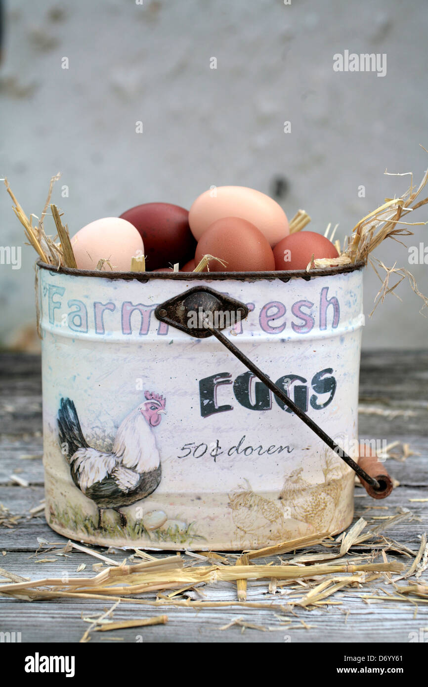 Farm Fresh Eggs Stock Photo