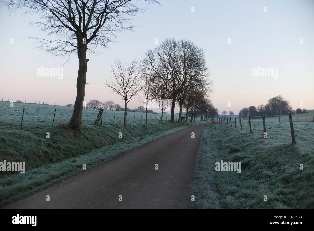 Road through frosty fields, morning, Normandy, France Stock Photo