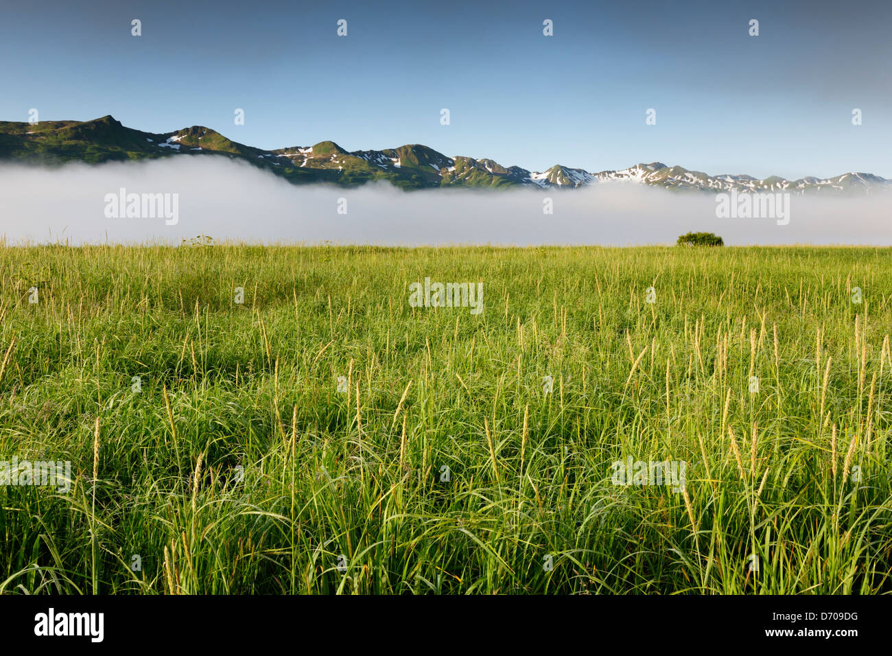 Field with grass in front of mountains covered with clouds. Stock Photo