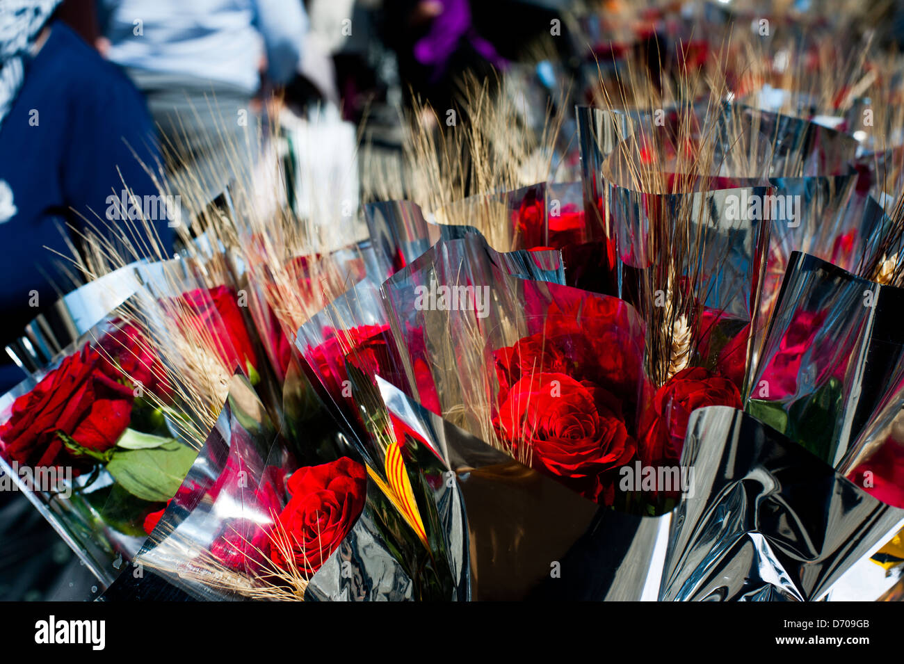 Red roses at Sant Jordi festival, ( St. George's Day ) in Passeig de ...