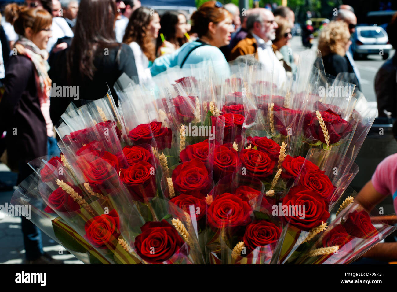Red roses at Sant Jordi festival, ( St. George's Day ) in Passeig de ...