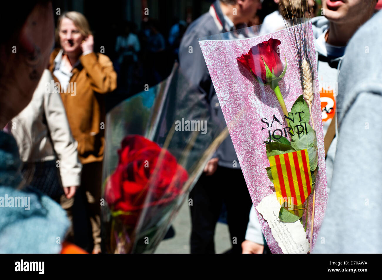 Red roses at Sant Jordi festival, ( St. George's Day ) in Passeig de ...