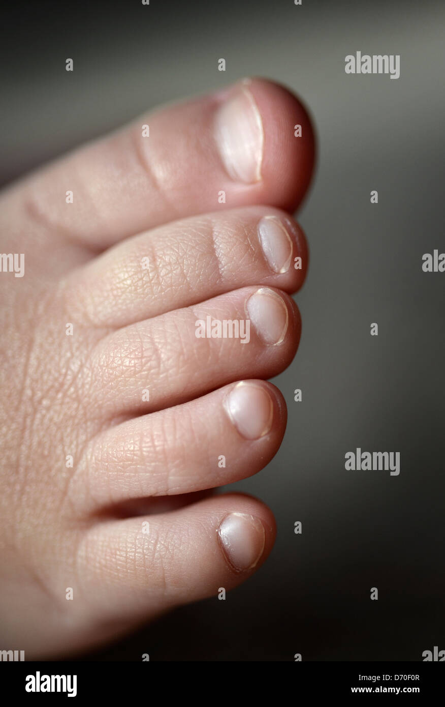 A close up photograph of a toddlers foot Stock Photo Alamy