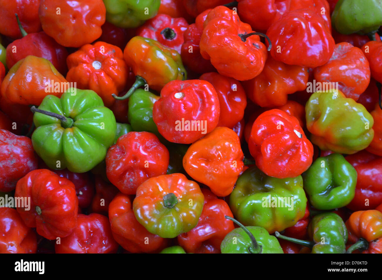 Aji Dulce - a sweet pepper, on sale in a market in Iquitos, Peru Stock Photo