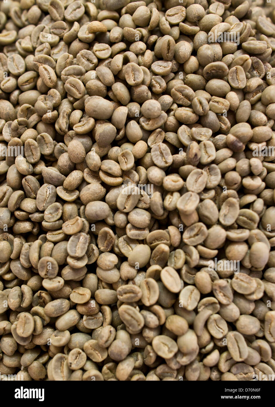 Green coffee beans sit in a vat ready to be roasted at the Hansen