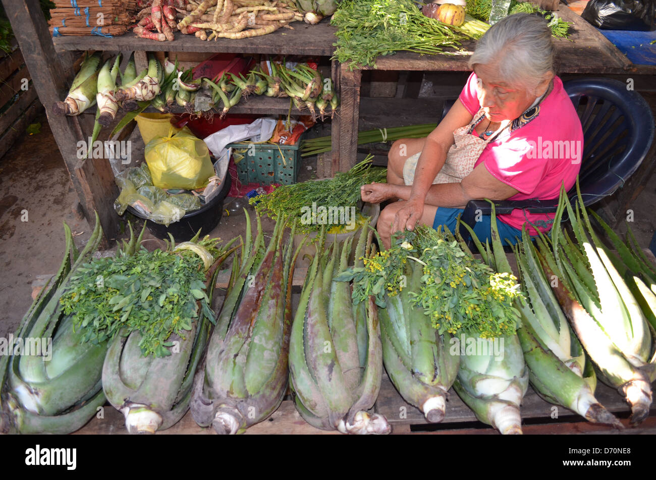 A lady sells natural Aloe Vera on a market stall in Iquitos, Peru Stock  Photo - Alamy