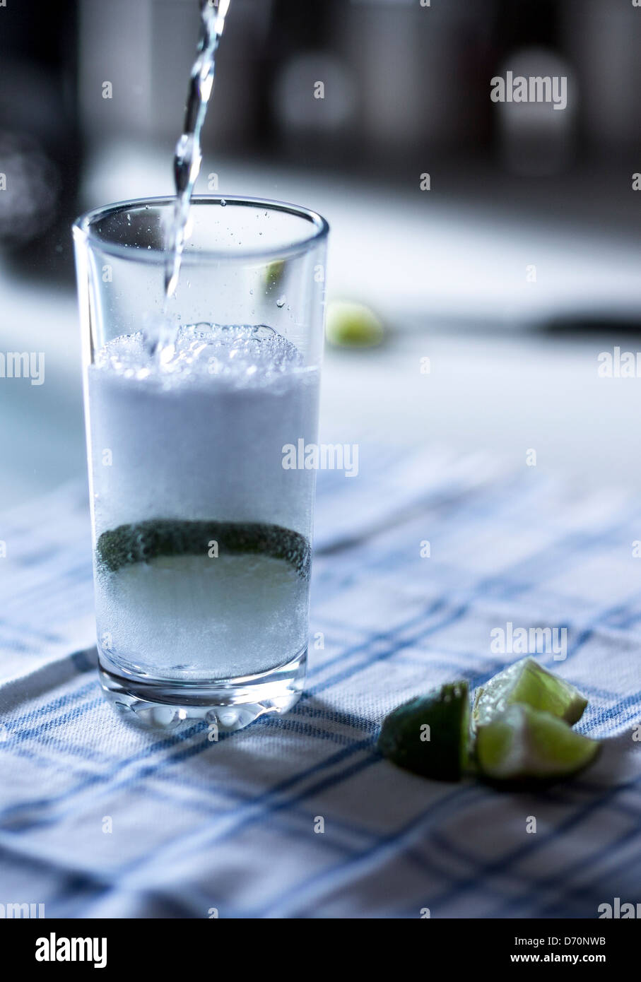 Gin & Tonic with Lime Stock Photo Alamy