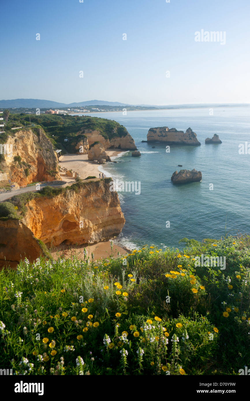 Praia Dona Ana beach with spectacular rock formations with spring flowers in foreground at dawn Near Lagos Algarve Portugal Stock Photo