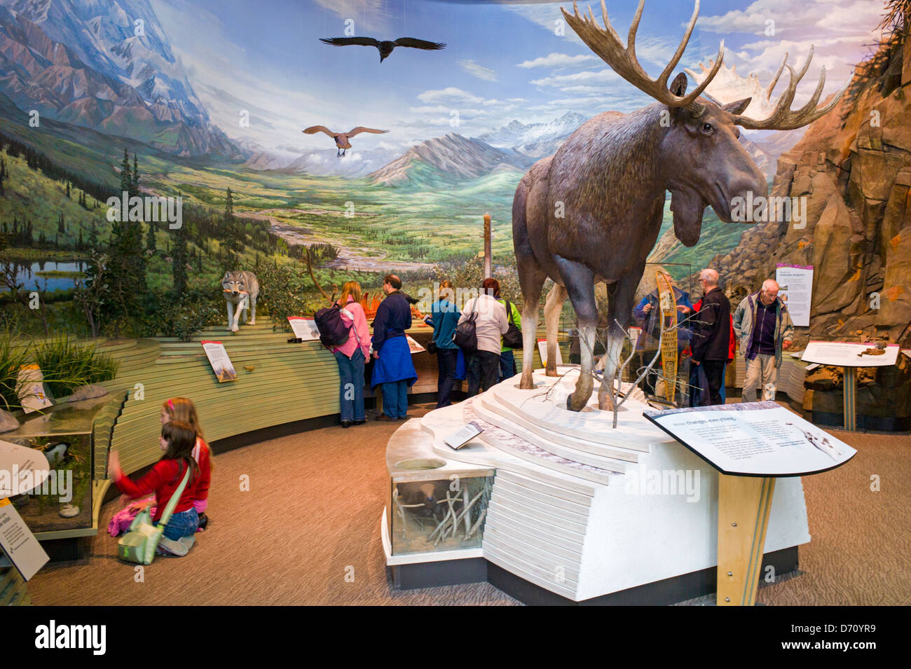 Tourists visiting the Denali National Park Visitors Center, Denali National Park, Alaska, USA Stock Photo