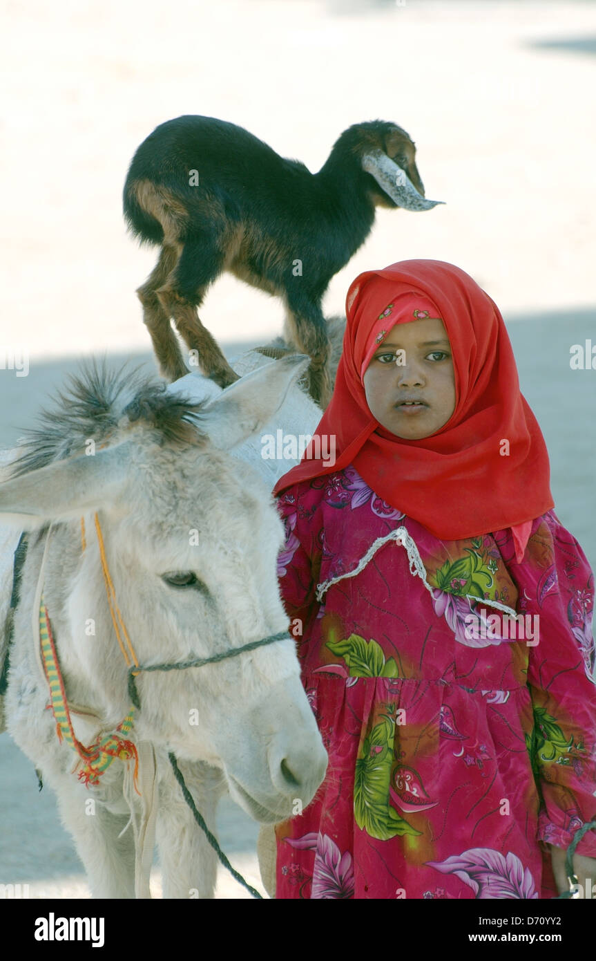 Portrait of a young Bedouin girl with goat, Hurghada, Egypt, Africa Stock Photo