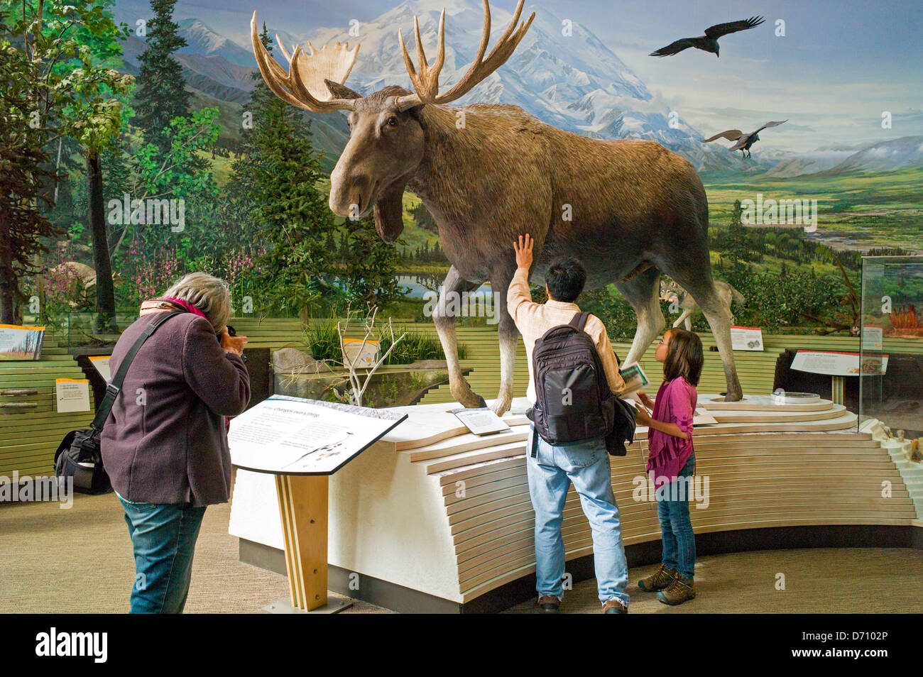 Tourists visiting the Denali National Park Visitors Center, Denali National Park, Alaska, USA Stock Photo