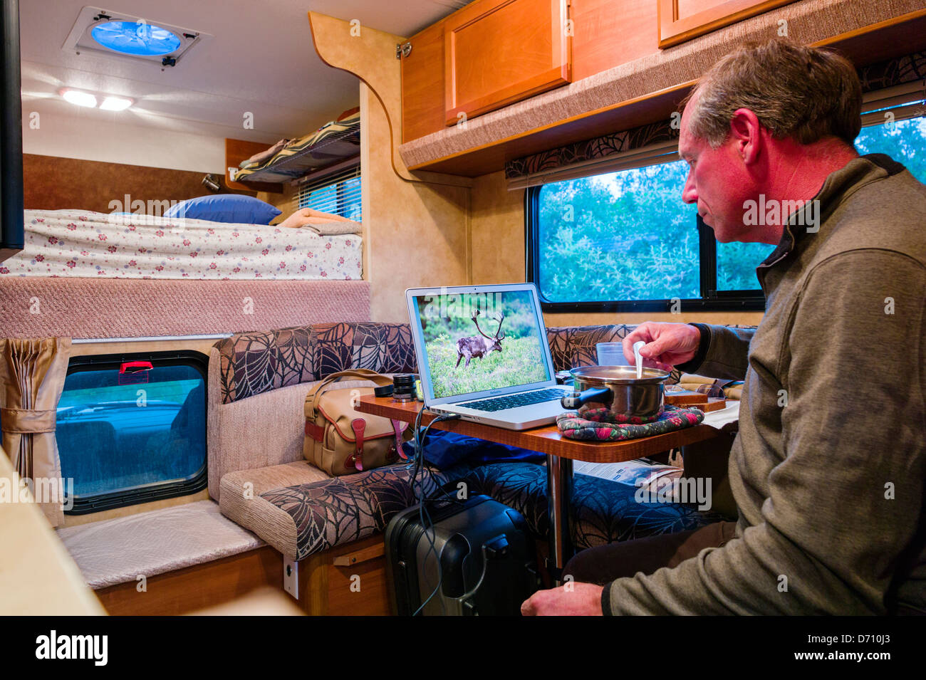 Professional photographer editing digital photographs on laptop computer inside a camper truck, Denali National Park, Alaska USA Stock Photo