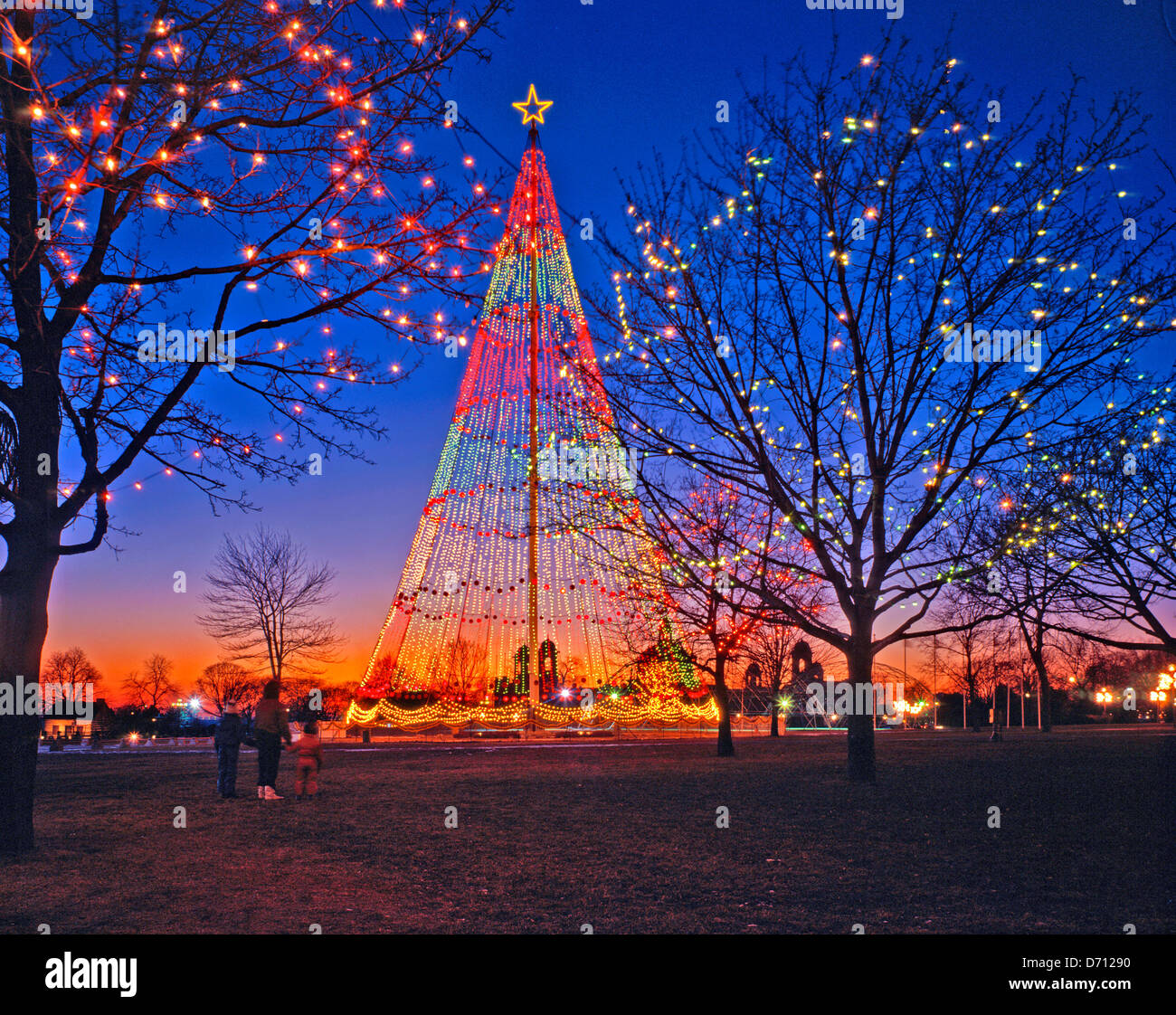 Christmas Tree in Toronto; Canada;Ontario Stock Photo Alamy