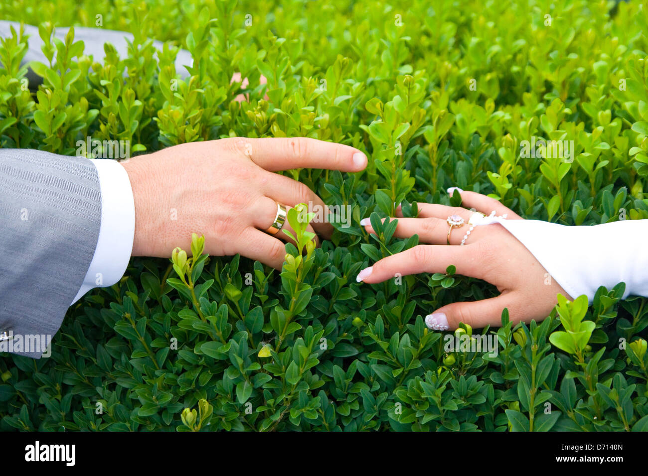 holding hands newlyweds Stock Photo - Alamy
