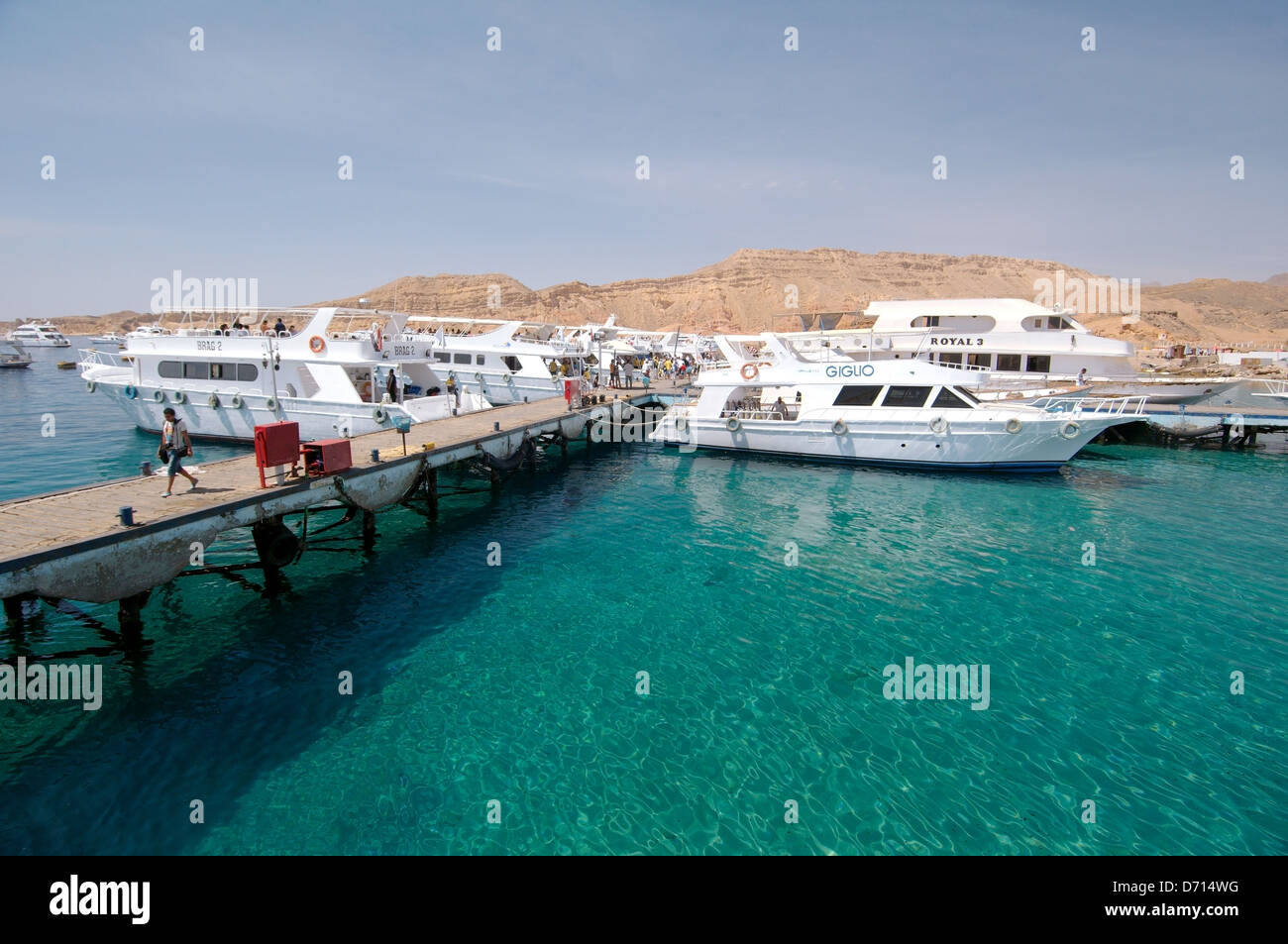 Marina, Red Sea, Sharm el-Sheikh, Sinai Peninsula, Egypt  Stock Photo