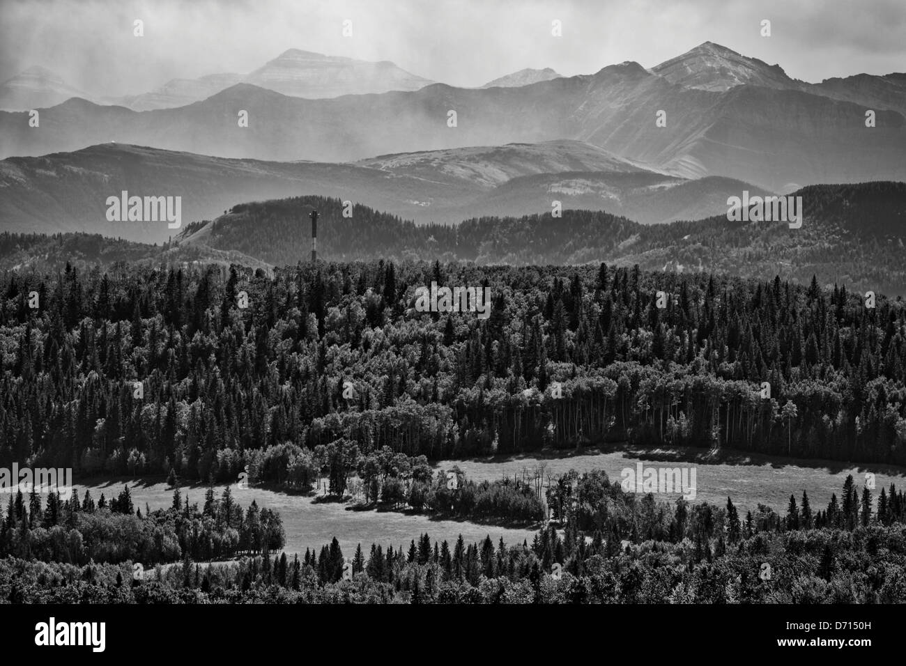 Woods canada Black and White Stock Photos & Images - Alamy