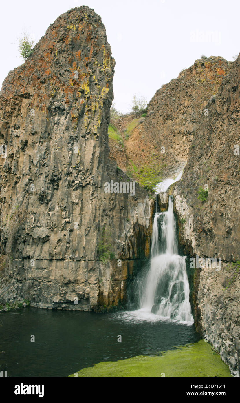 Desert Waterfall, McCartney Creek, Nature Conservancy Preserve, Moses Coulee, Washington APRIL Stock Photo