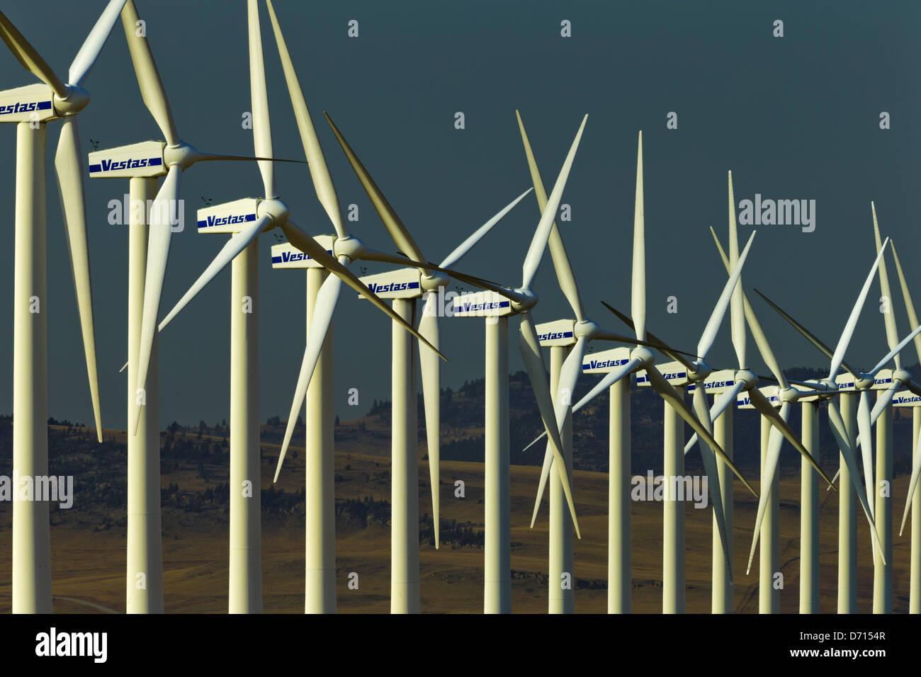 Canada, Alberta, Wind turbines in row Stock Photo Alamy
