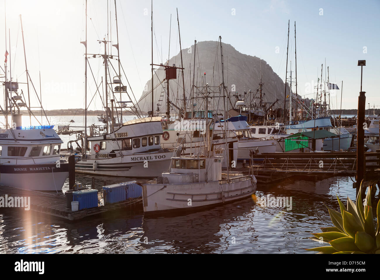 USA, California, Morro Bay, Commercial fishing fleet at dock with Morro