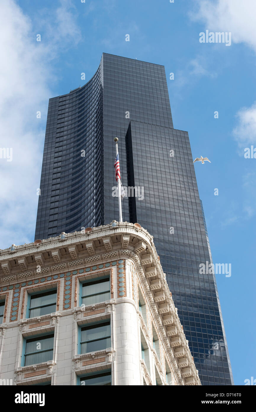 Usa, Washington State, Seattle, Arctic Building (Hilton Hotel) With Columbia Tower In Background, Gull Stock Photo