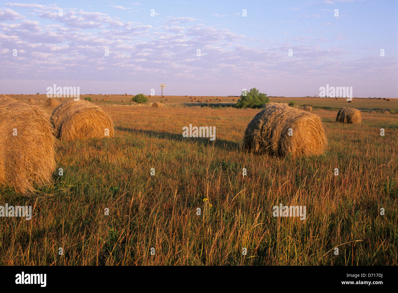 USA, Kansas, Flint Hills, Near Alta Vista, Highway 177, Tallgrass ...