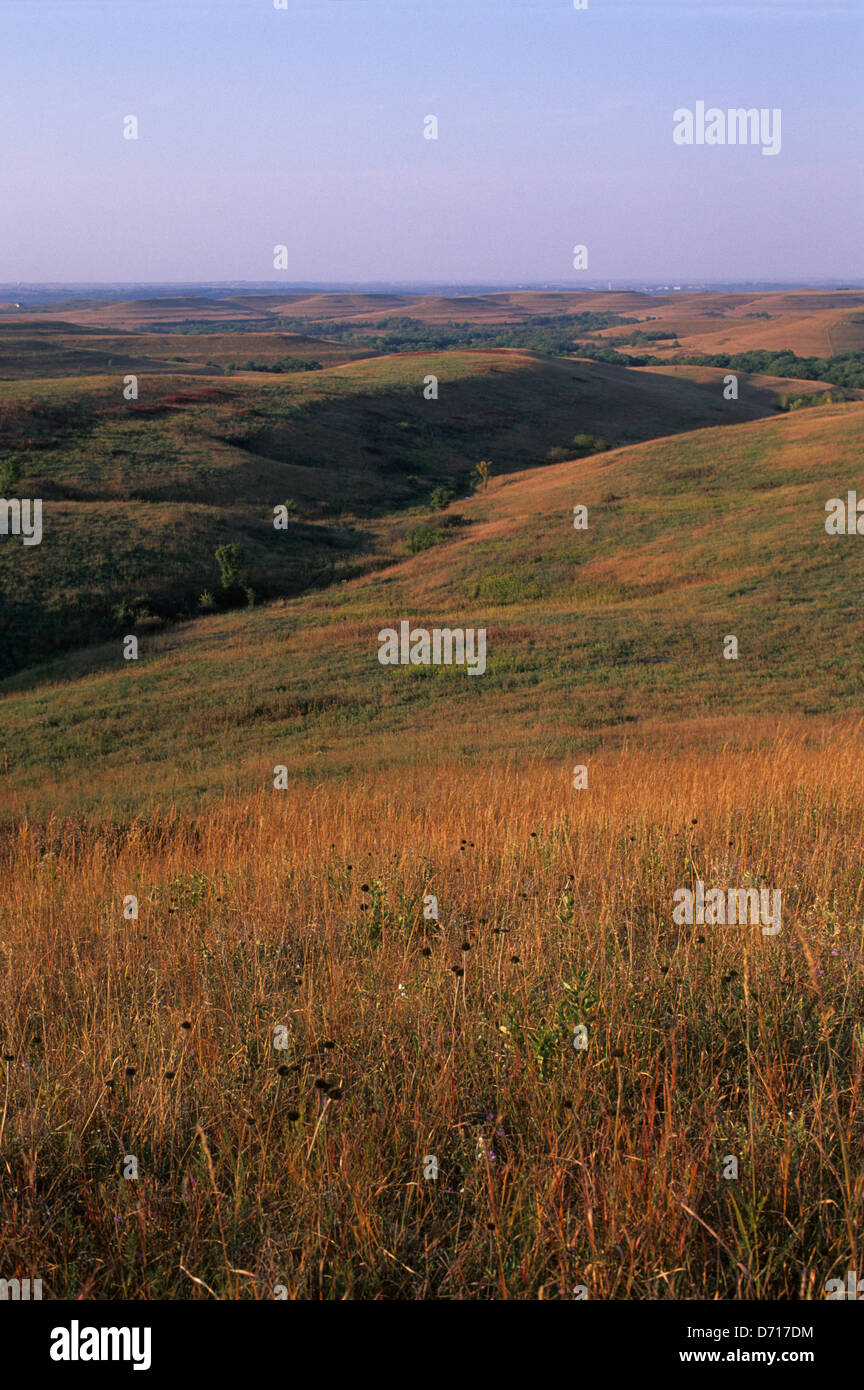 USA, Kansas, Manhattan, Konza Prairie Research Natural Area, Landscape With Tall Grass Prairie Stock Photo